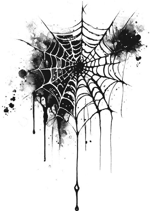 spider web